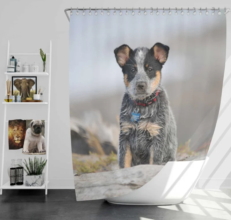 Playful Canine Charm: Australian Cattle Dog Puppy Shower Curtain