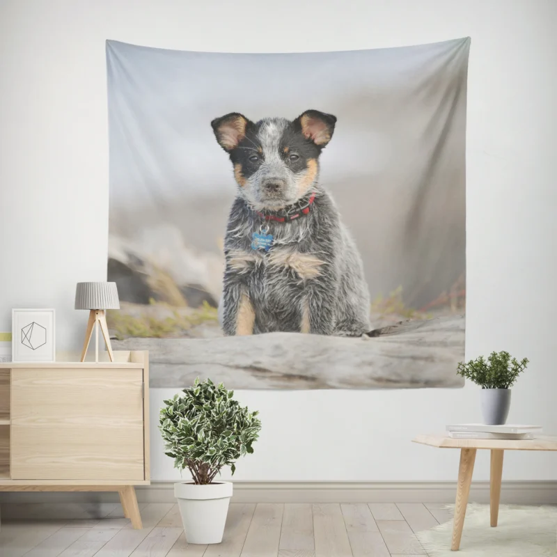 Playful Canine Charm  Australian Cattle Dog Puppy Wall Tapestry