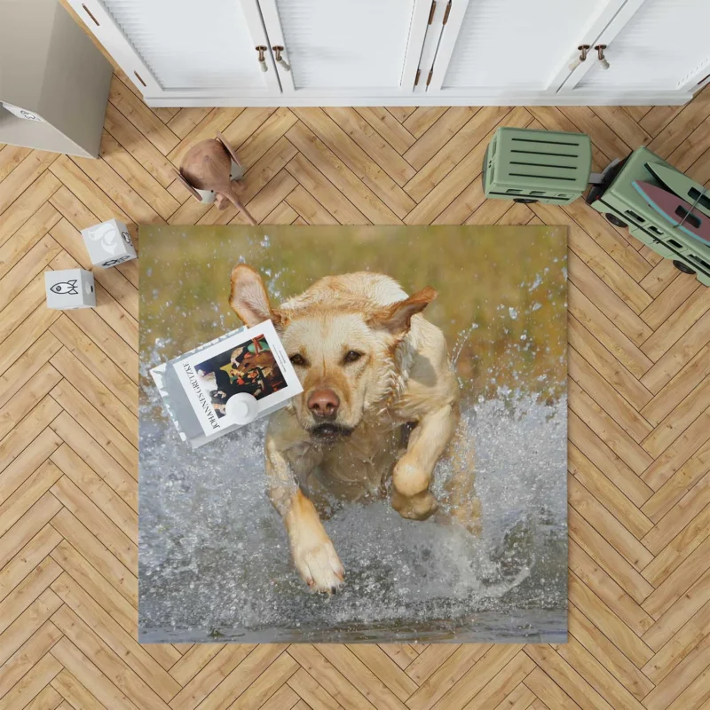 Playful Canine Puppies: Labrador Quartet Floor Rug