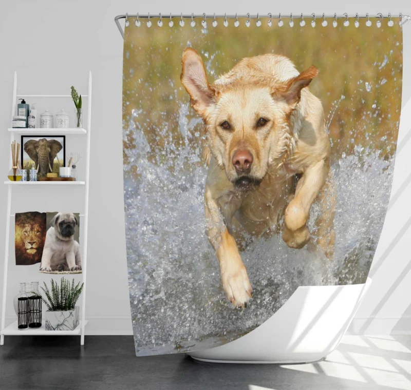 Playful Canine Puppies: Labrador Quartet Shower Curtain