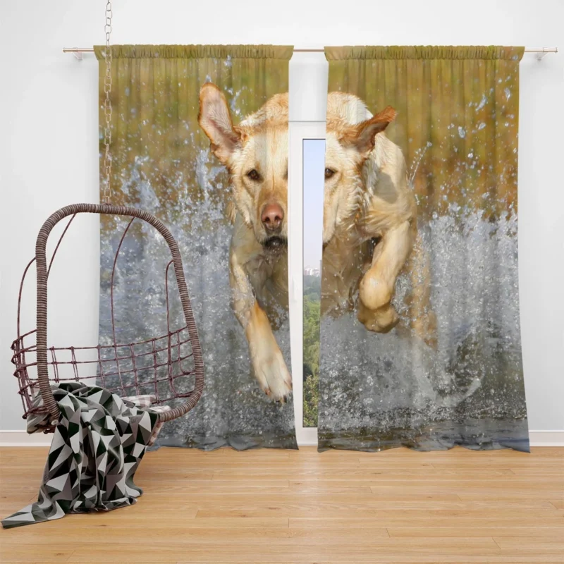 Playful Canine Puppies: Labrador Quartet Window Curtain