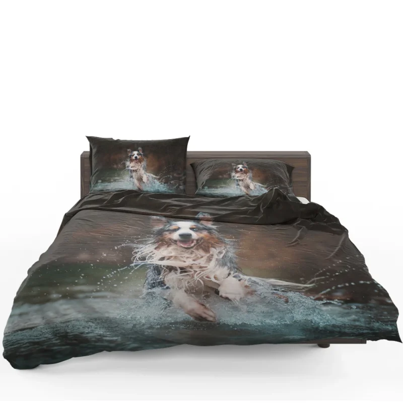 Playful Canine Splash in the Water: Australian Shepherd Bedding Set