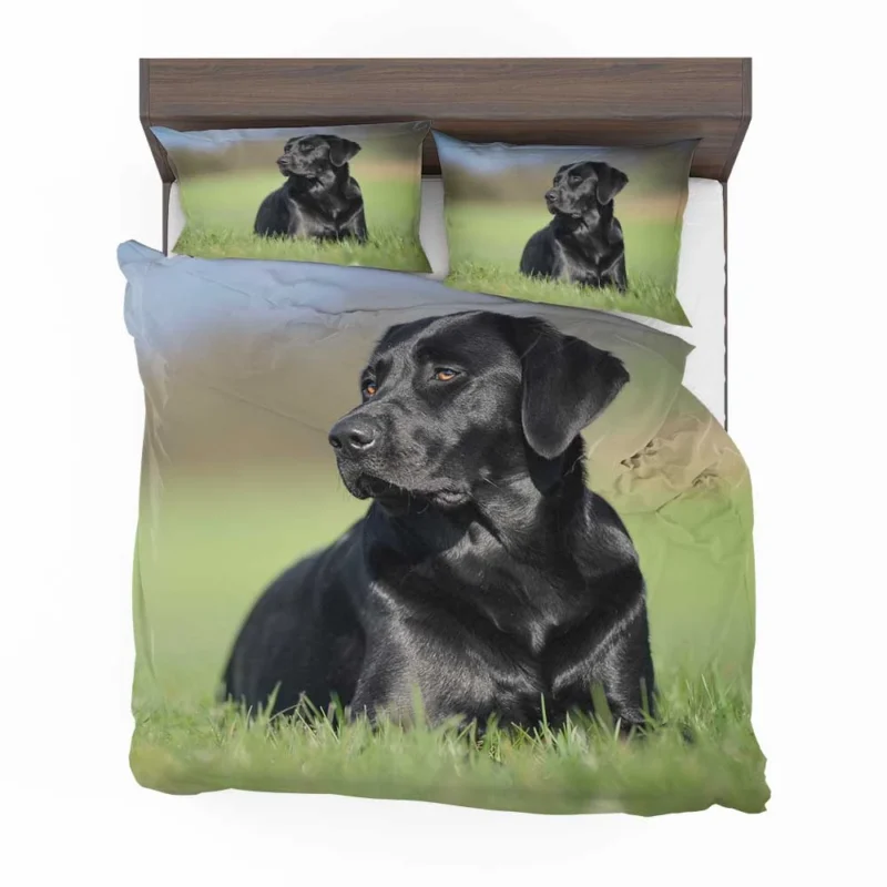 Playful Canines: Labrador Grass Muzzle Quartet Bedding Set 1