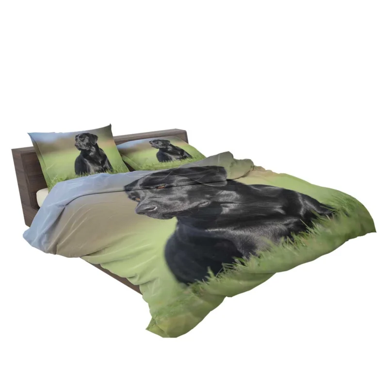 Playful Canines: Labrador Grass Muzzle Quartet Bedding Set 2