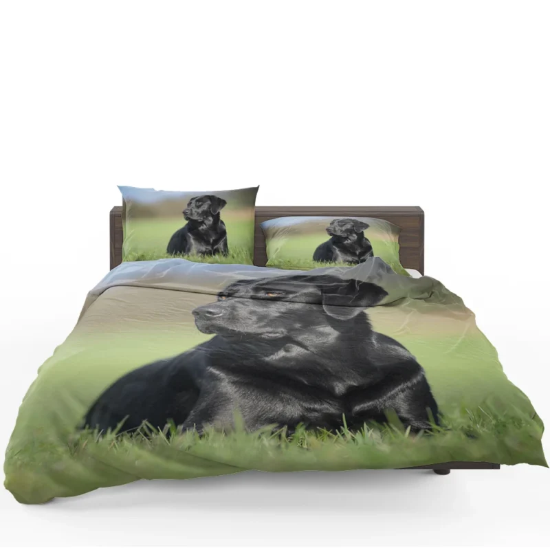 Playful Canines: Labrador Grass Muzzle Quartet Bedding Set