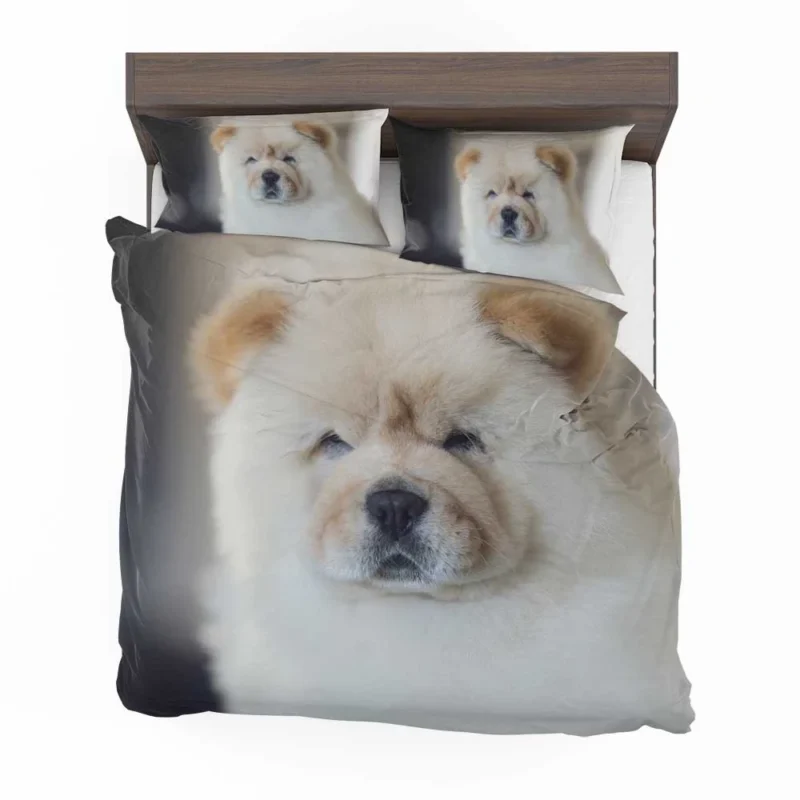 Playful Chow Chow Delight Bedding Set 1