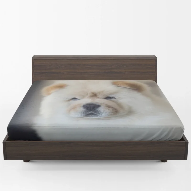 Playful Chow Chow Delight Fitted Sheet 1