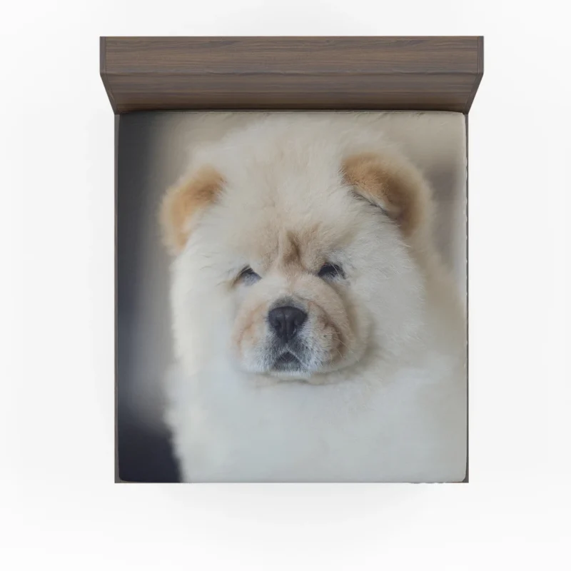 Playful Chow Chow Delight Fitted Sheet