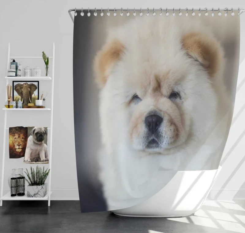 Playful Chow Chow Delight Shower Curtain