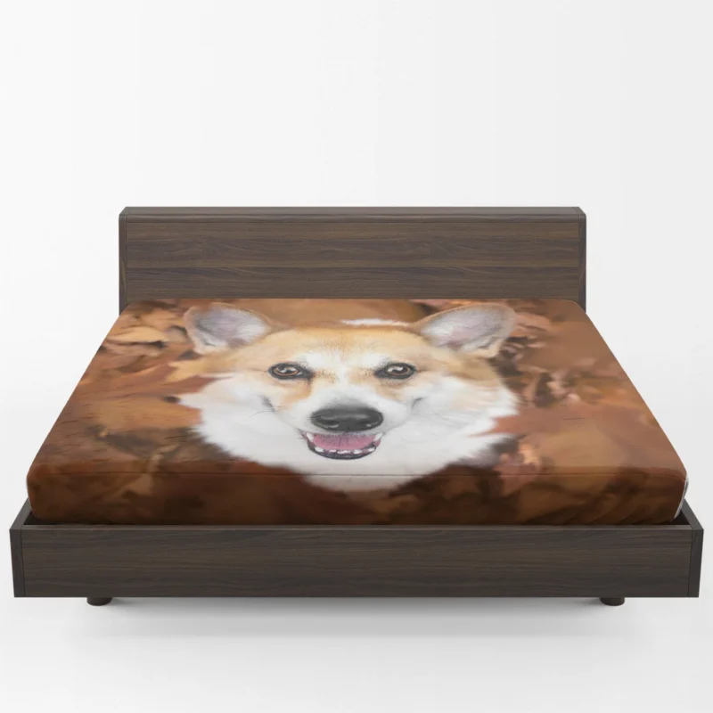 Playful Corgi Quartet: Fourfold Fun Fitted Sheet 1