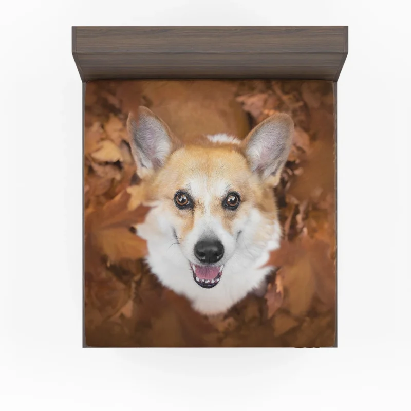 Playful Corgi Quartet: Fourfold Fun Fitted Sheet