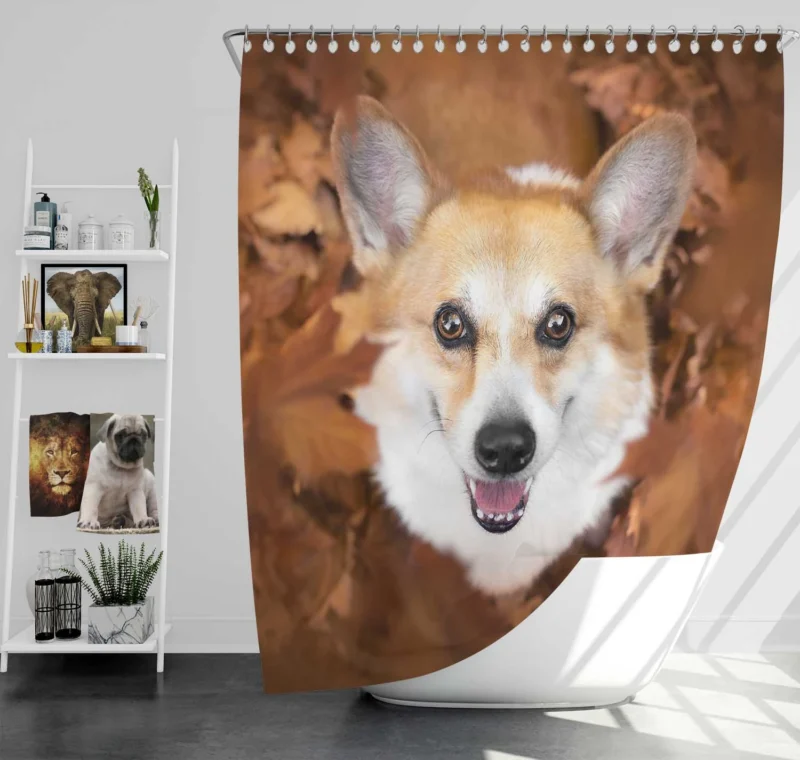 Playful Corgi Quartet: Fourfold Fun Shower Curtain