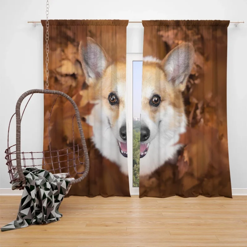 Playful Corgi Quartet: Fourfold Fun Window Curtain