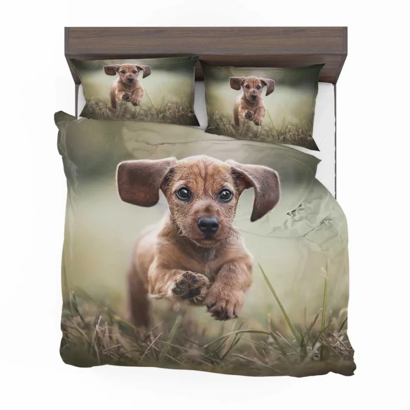 Playful Dachshund Puppies in Bauble: Quartet Bedding Set 1