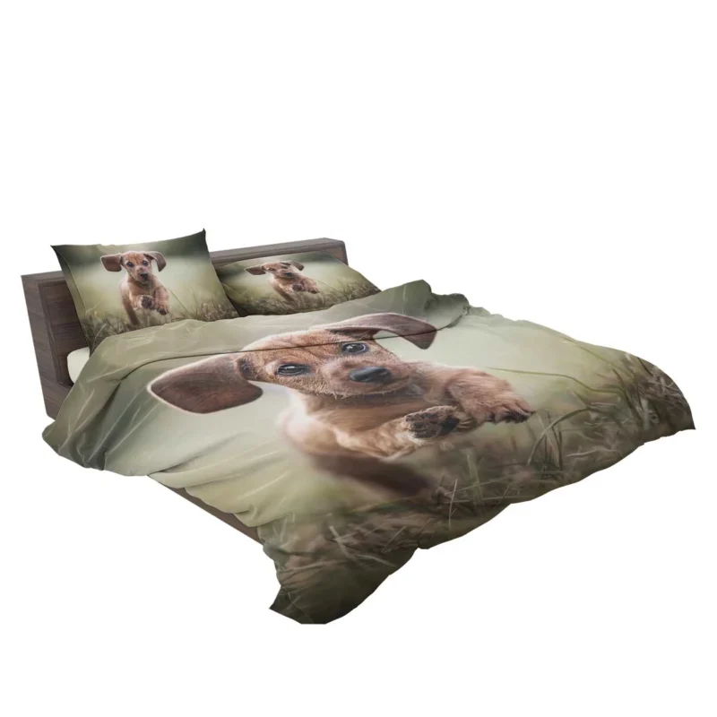 Playful Dachshund Puppies in Bauble: Quartet Bedding Set 2