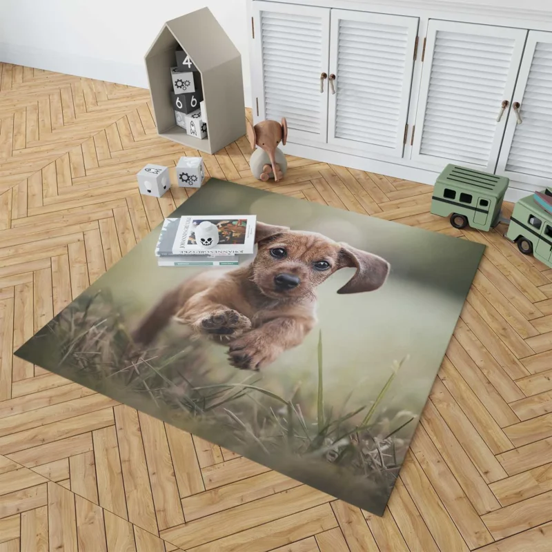 Playful Dachshund Puppies in Bauble: Quartet Floor Rug 1