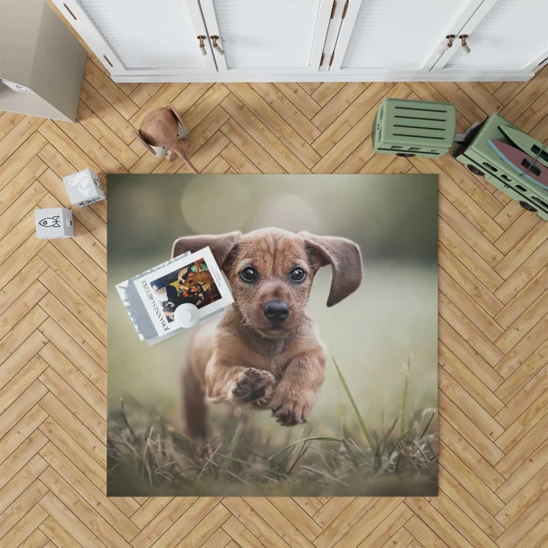 Playful Dachshund Puppies in Bauble: Quartet Floor Rug