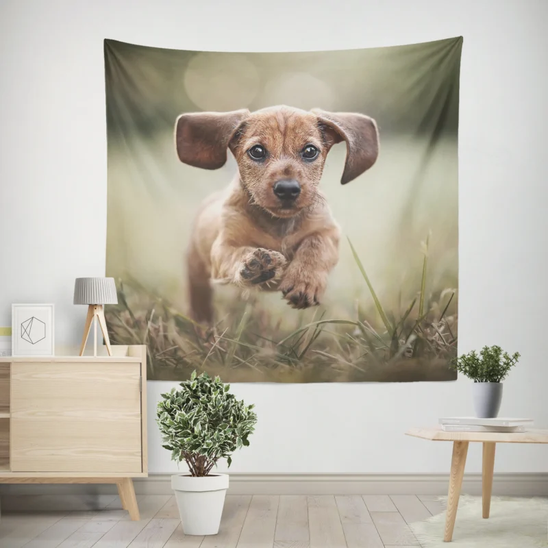 Playful Dachshund Puppies in Bauble  Quartet Wall Tapestry