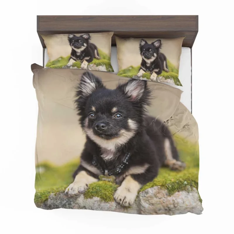 Playful Dainty and Delightful: Chihuahua Quartet Bedding Set 1