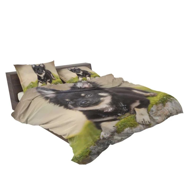 Playful Dainty and Delightful: Chihuahua Quartet Bedding Set 2