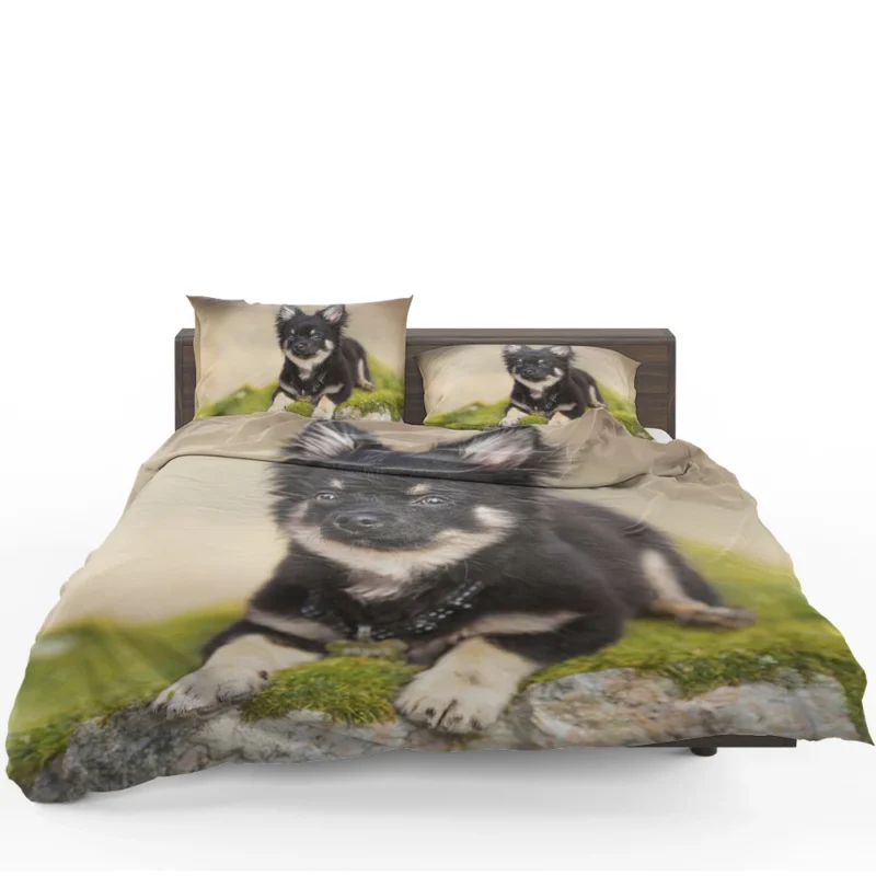 Playful Dainty and Delightful: Chihuahua Quartet Bedding Set