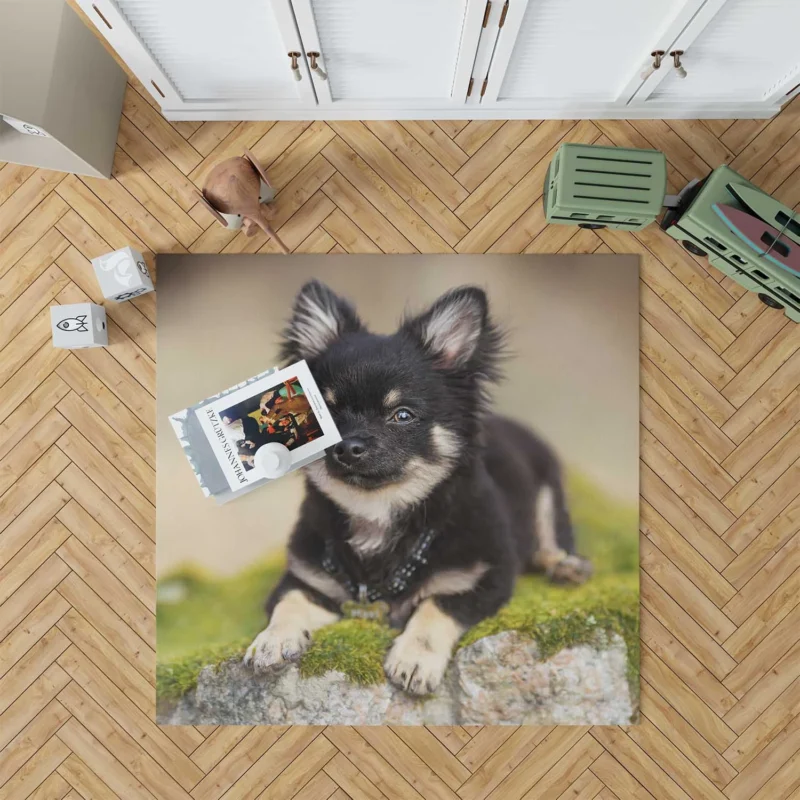 Playful Dainty and Delightful: Chihuahua Quartet Floor Rug