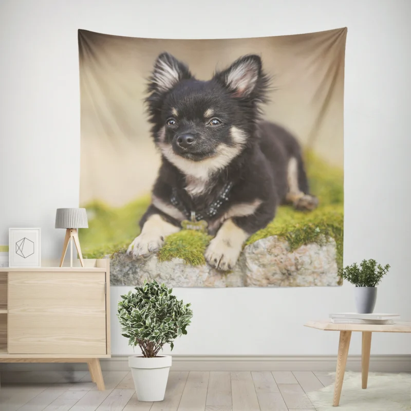 Playful Dainty and Delightful  Chihuahua Quartet Wall Tapestry