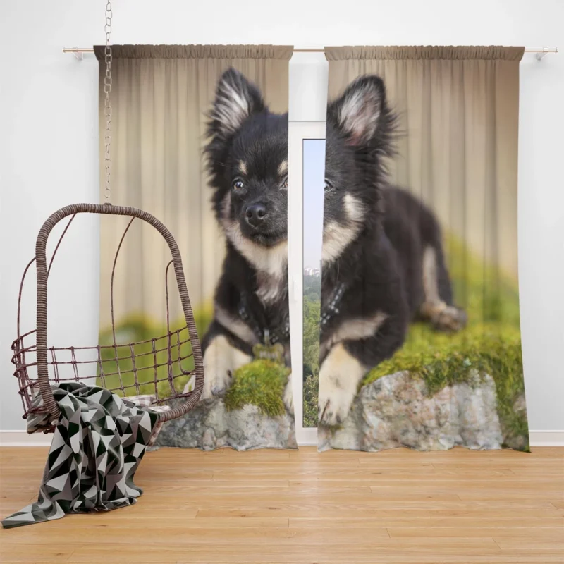 Playful Dainty and Delightful: Chihuahua Quartet Window Curtain