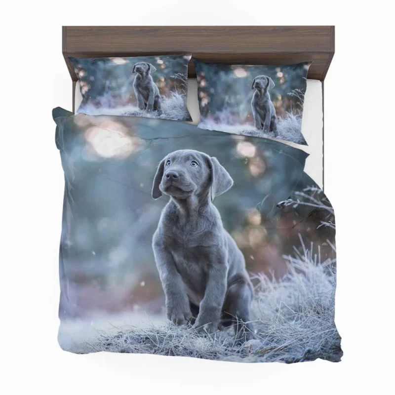 Playful Joy: Baubles of Weimaraner Puppies Bedding Set 1