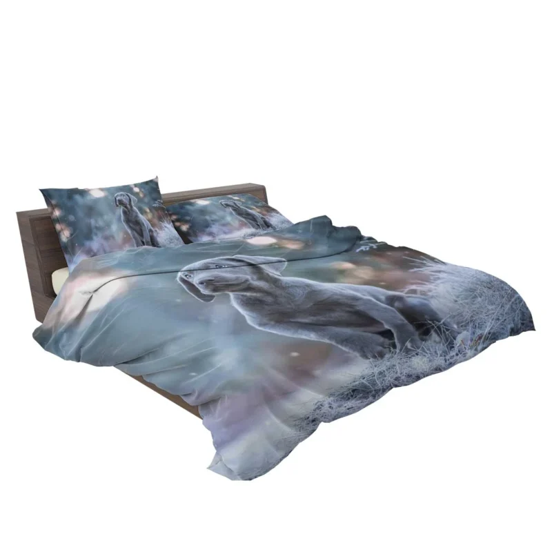 Playful Joy: Baubles of Weimaraner Puppies Bedding Set 2