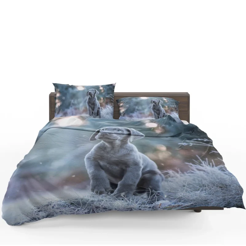 Playful Joy: Baubles of Weimaraner Puppies Bedding Set