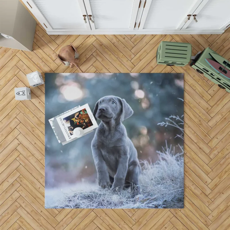 Playful Joy: Baubles of Weimaraner Puppies Floor Rug