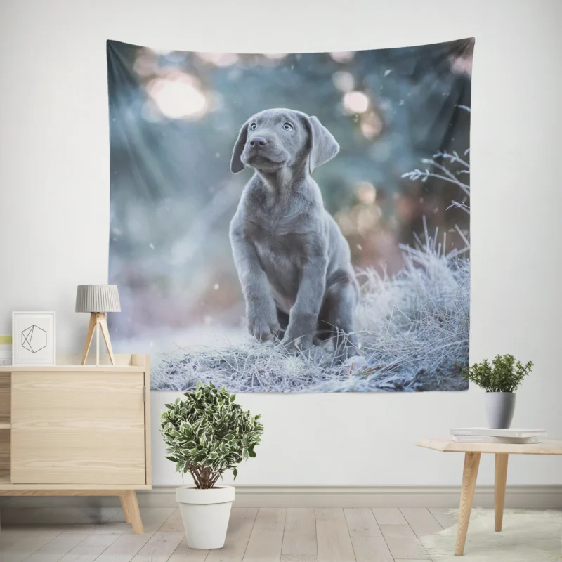 Playful Joy  Baubles of Weimaraner Puppies Wall Tapestry