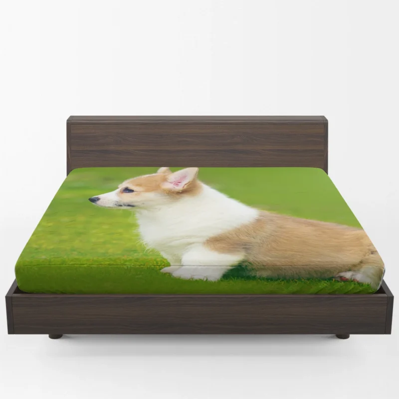 Playful Puppies in Bauble: Corgi Quartet Fitted Sheet 1