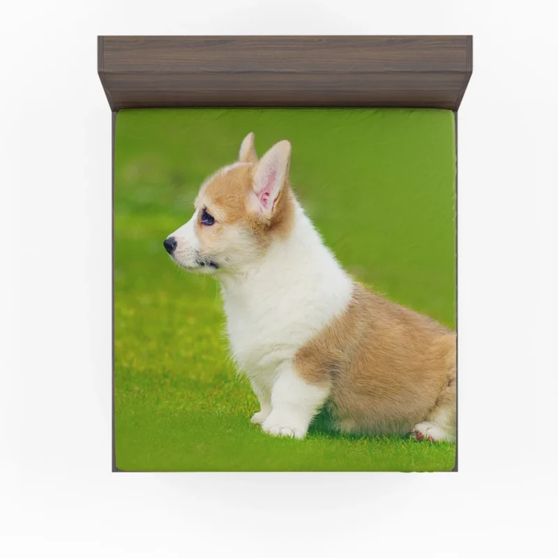 Playful Puppies in Bauble: Corgi Quartet Fitted Sheet