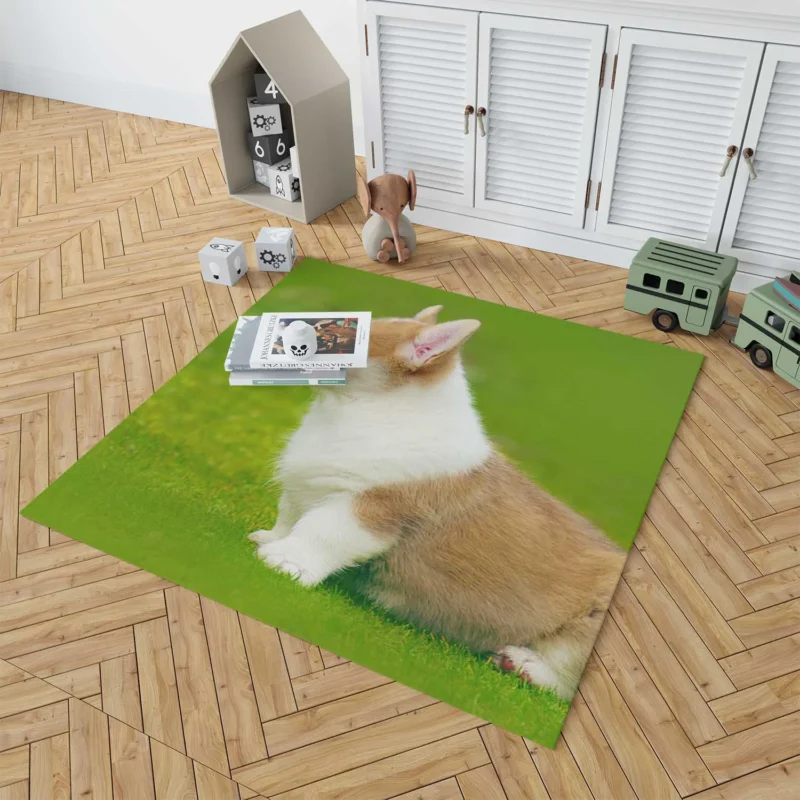 Playful Puppies in Bauble: Corgi Quartet Floor Rug 1