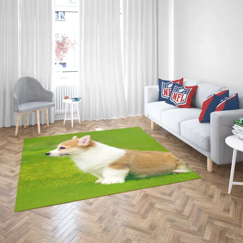 Playful Puppies in Bauble: Corgi Quartet Floor Rug 2