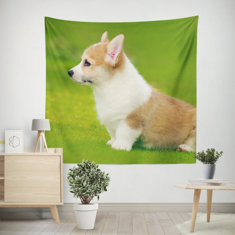 Playful Puppies in Bauble  Corgi Quartet Wall Tapestry