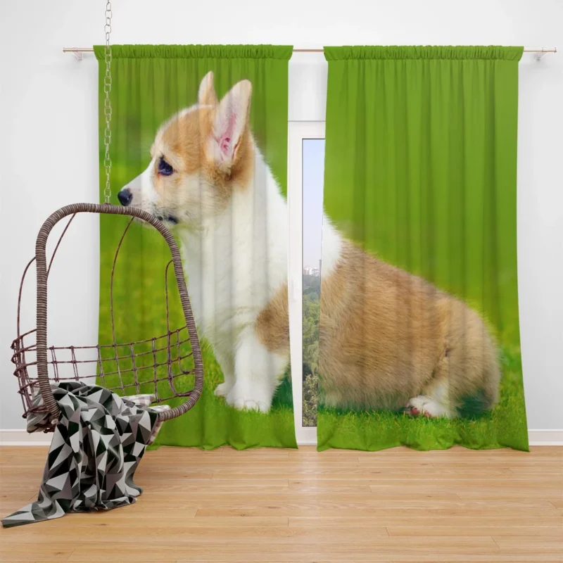 Playful Puppies in Bauble: Corgi Quartet Window Curtain