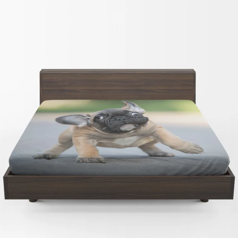 Playful Puppies in Fourfold: Bulldog Quartet Fitted Sheet 1