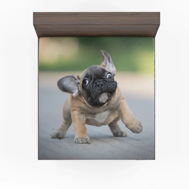 Playful Puppies in Fourfold: Bulldog Quartet Fitted Sheet