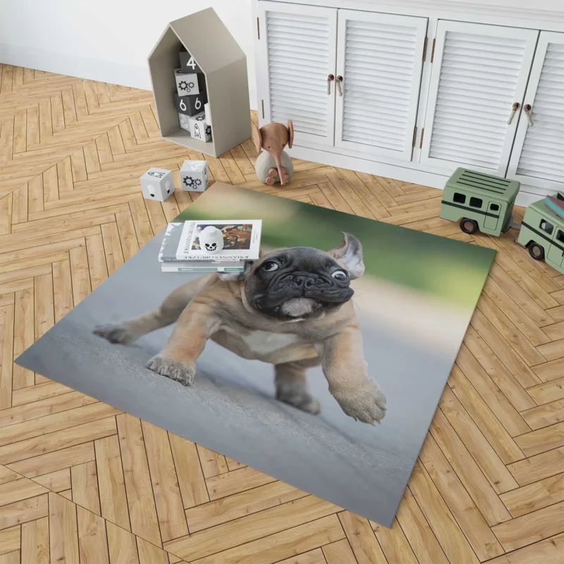 Playful Puppies in Fourfold: Bulldog Quartet Floor Rug 1