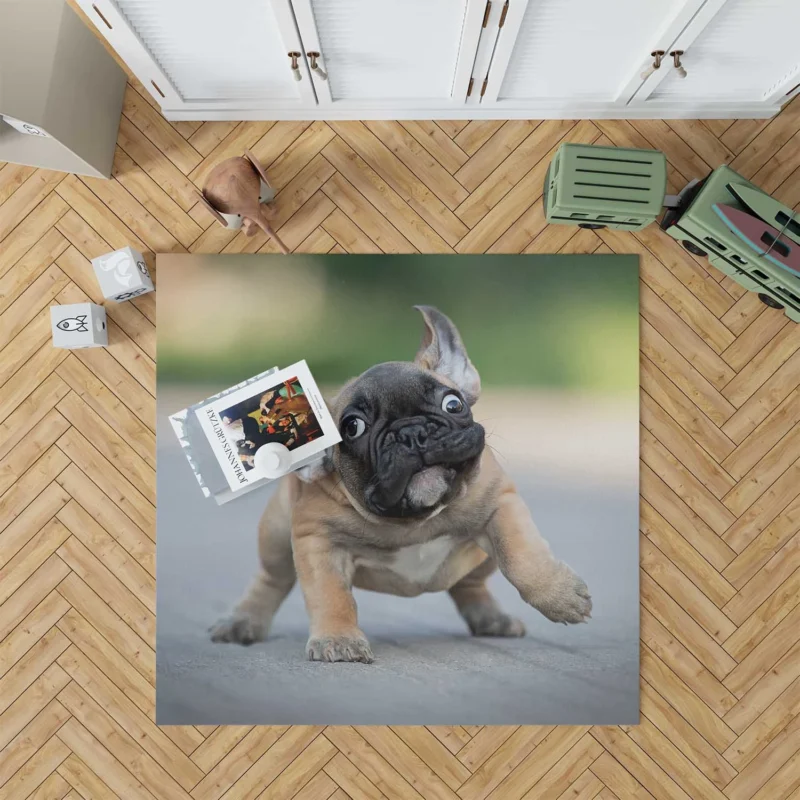 Playful Puppies in Fourfold: Bulldog Quartet Floor Rug