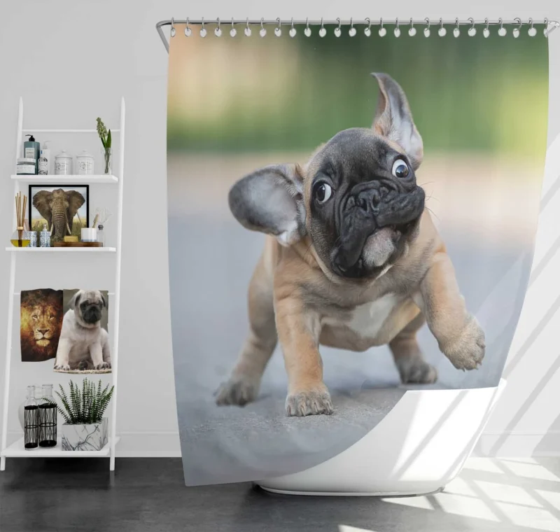 Playful Puppies in Fourfold: Bulldog Quartet Shower Curtain