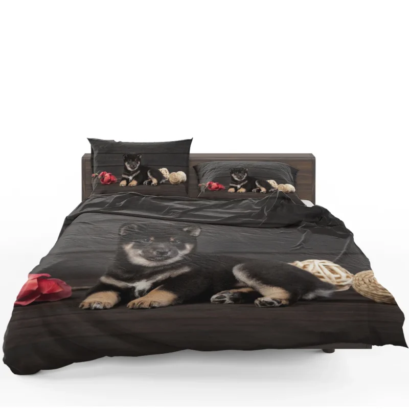 Playful Puppies in Harmony: Shiba Inu Quartet Bedding Set