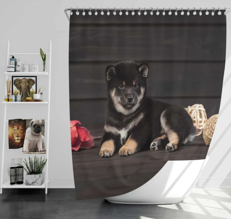 Playful Puppies in Harmony: Shiba Inu Quartet Shower Curtain