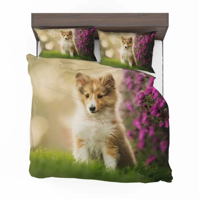 Playful Puppy Bauble: Shetland Sheepdog Quartet Bedding Set 1