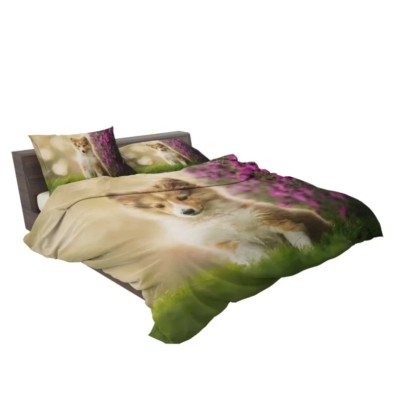 Playful Puppy Bauble: Shetland Sheepdog Quartet Bedding Set 2