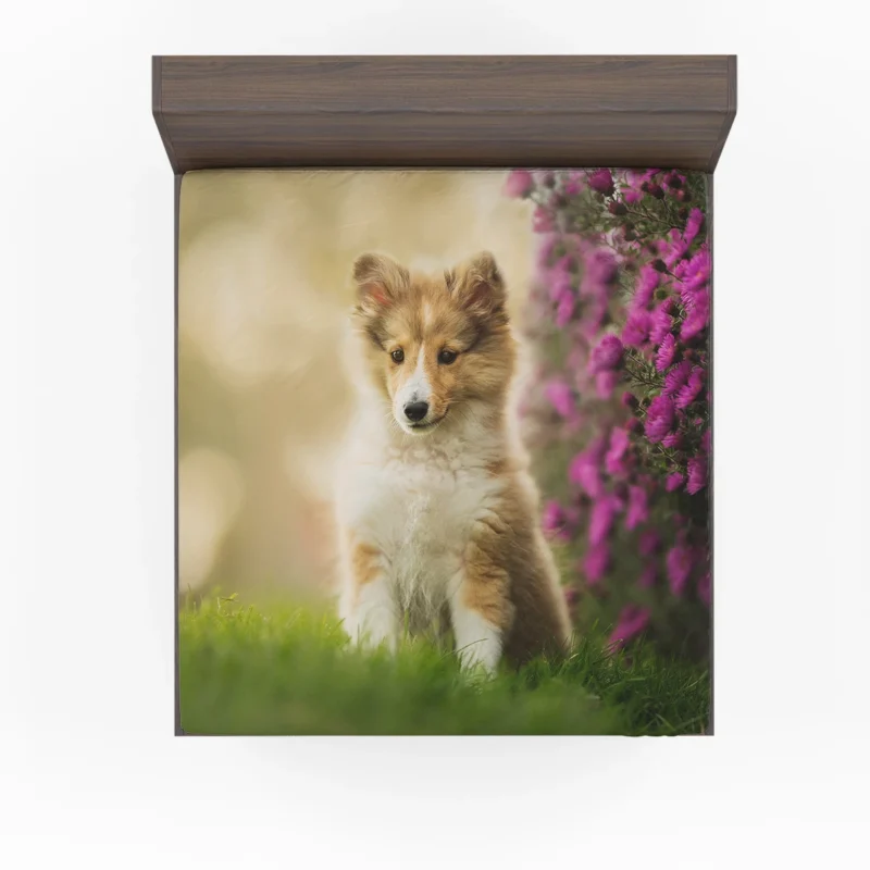 Playful Puppy Bauble: Shetland Sheepdog Quartet Fitted Sheet