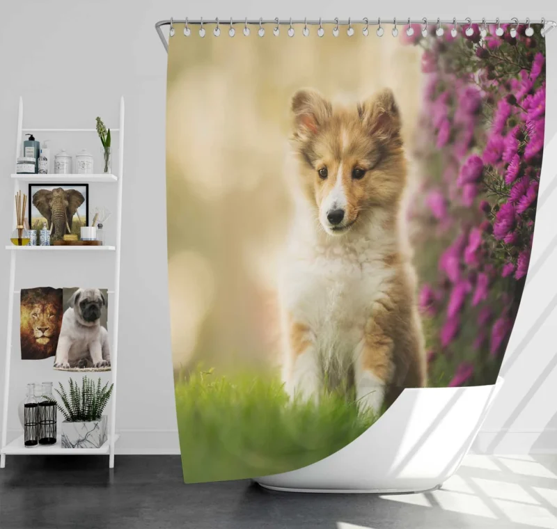 Playful Puppy Bauble: Shetland Sheepdog Quartet Shower Curtain